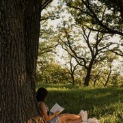 ���������� Phuket, ���� ������� ���, 35 ���, ������������ 