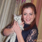 ���������� ������, ���� ������� ������, 38 ���, ������������ ��� ������, ����� � ���������, c�������� ���������