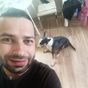 ���������� ���������, ���� ������� ������, 36 ���, ������������ ��� ������, ����� � ���������