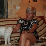  ,   , 55 ,  