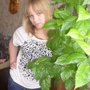 ���������� ������, ���� ������� ���������, 31 ���, ������������ ��� ������, ����� � ���������, c�������� ���������