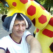  --,   , 48 ,   ,   