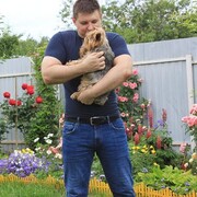 ���������� ������, ���� ������� ������, 50 ���, ������������ ��� ����� � ���������, c�������� ���������