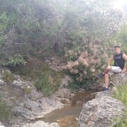 ���������� ������������, ���� ������� ����, 38 ���, ������������ ��� ������, ����� � ���������, c�������� ���������, ���������