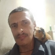 ���������� ��������, ���� ������� ������, 42 ����, ������������ ��� ������, ����� � ���������, c�������� ���������