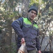  Kiljava,  Alexander, 33