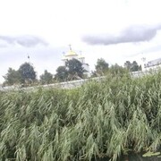  ,   , 49 ,   c 