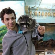 ���������� ���������, ���� ������� ����, 33 ����, ������������ ��� ������, ����� � ���������, c�������� ���������