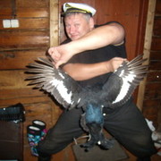 ���������� ������, ���� ������� �������, 61 ���, ������������ ��� ������, ����� � ���������, c�������� ���������