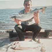  ,   , 48 ,     , c 