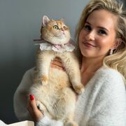 ���������� ������-��-����, ����