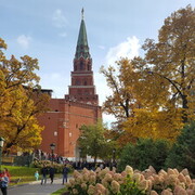 ���������� ������, ���� ������� Adello, 38 ���, ������������ ��� ������, ����� � ���������, c�������� ���������