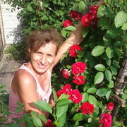  ,   , 55 ,     , c 