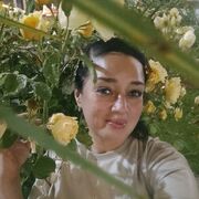 ���������� ����, ������� �����, 48