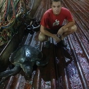  -,   , 29 ,   ,   , c 