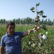  ,   , 47 ,     , c 