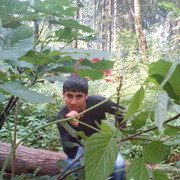  ,   Edvard, 34 ,     , c 