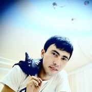  ,   Erasil, 34 ,   