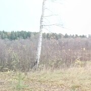  ,   , 40 ,   c 