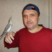  ,   , 52 ,   ,   , c 
