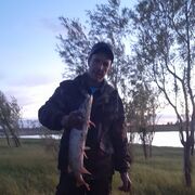 ���������� ������, ���� ������� �������, 46 ���, ������������ ��� ������, ����� � ���������, ���������