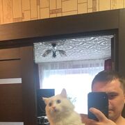 ���������� ������, ���� ������� ������, 37 ���, ������������ ��� ������, ����� � ���������, c�������� ���������, ���������