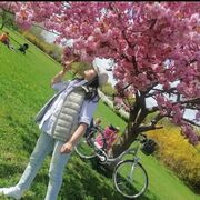  ,   , 57 ,   c 