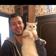 ���������� ������, ���� ������� ������, 44 ����, ������������ ��� c�������� ���������