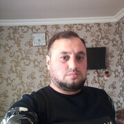  ,   Krasavcik, 43 ,   ,   , c 