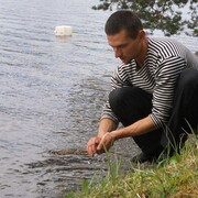  ,   German, 41 ,     , 