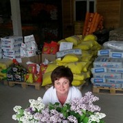 ���������� ������, ���� ������� �������, 47 ���, ������������ ��� ������, ����� � ���������, c�������� ���������