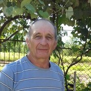  ,   , 65 ,     , c 