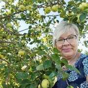 ���������� ���������, ������� �����, 60