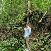 ���������� ������, ���� ������� Maks, 31 ���, ������������ ��� ������, ����� � ���������