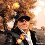  ,   , 51 ,   ,   