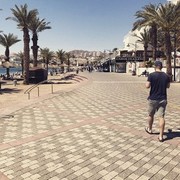 ���������� ��������������, ���� ������� ������, 39 ���, ������������ ��� ������, ����� � ���������, c�������� ���������