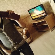  ,   , 31 ,  