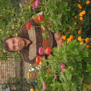  ,   , 97 ,  
