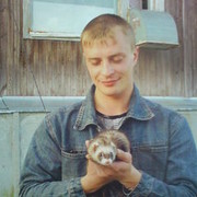 ���������� ����������, ������� ���������, 43