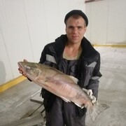 ���������� ����-���������, ���� ������� �����, 32 ����, ������������ ��� ������, ����� � ���������, c�������� ���������, ���������