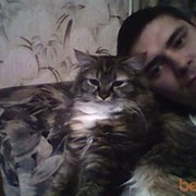 ���������� �����, ���� ������� ������, 40 ���, ������������ ��� ������, ����� � ���������, c�������� ���������