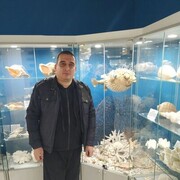 ���������� ���������, ���� ������� �������, 41 ���, ������������ ��� ������, ����� � ���������, c�������� ���������, ���������