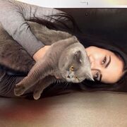 ���������� ����, ���� ������� ��������, 25 ���, ������������ ��� ������, ����� � ���������, c�������� ���������