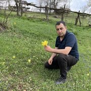 ���������� �������, ���� ������� ������, 43 ����, ������������ ��� ������, ����� � ���������, c�������� ���������, ���������