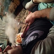 ���������� �������, ���� ������� �����, 31 ���, ������������ ��� ������, ����� � ���������, c�������� ���������