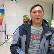  ,   , 51 ,   ,   , c , 