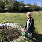  ,   , 58 ,   ,   , c 