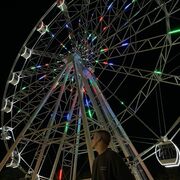 ���������� ��������, ���� ����� �����, 22 ����, ������������ ��� ������, ����� � ���������