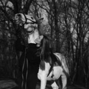 ���������� ������-��-����, ���� ������� ����, 32 ����, ������������ ��� ������, ����� � ���������