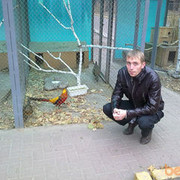  ,   Artem, 41 ,   ,   , c 